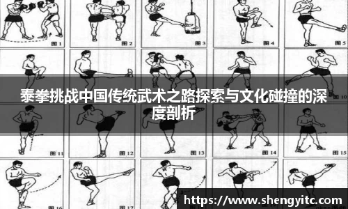 足球直播在线观看