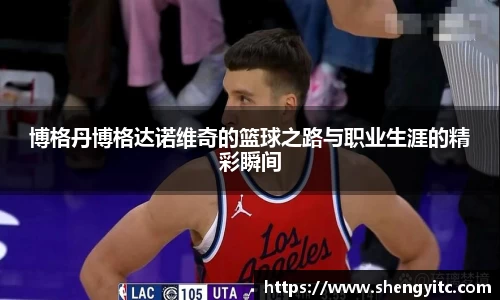 博格丹博格达诺维奇的篮球之路与职业生涯的精彩瞬间